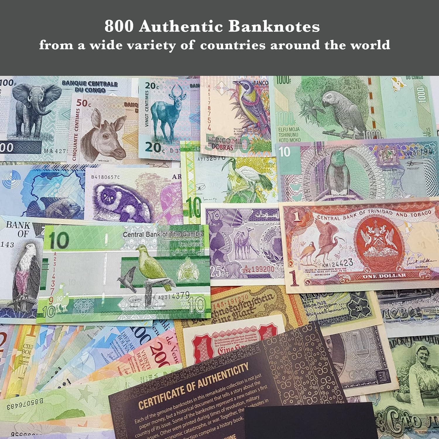 Weltwährungssammlung – 800 verschiedene Banknoten aus aller Welt 