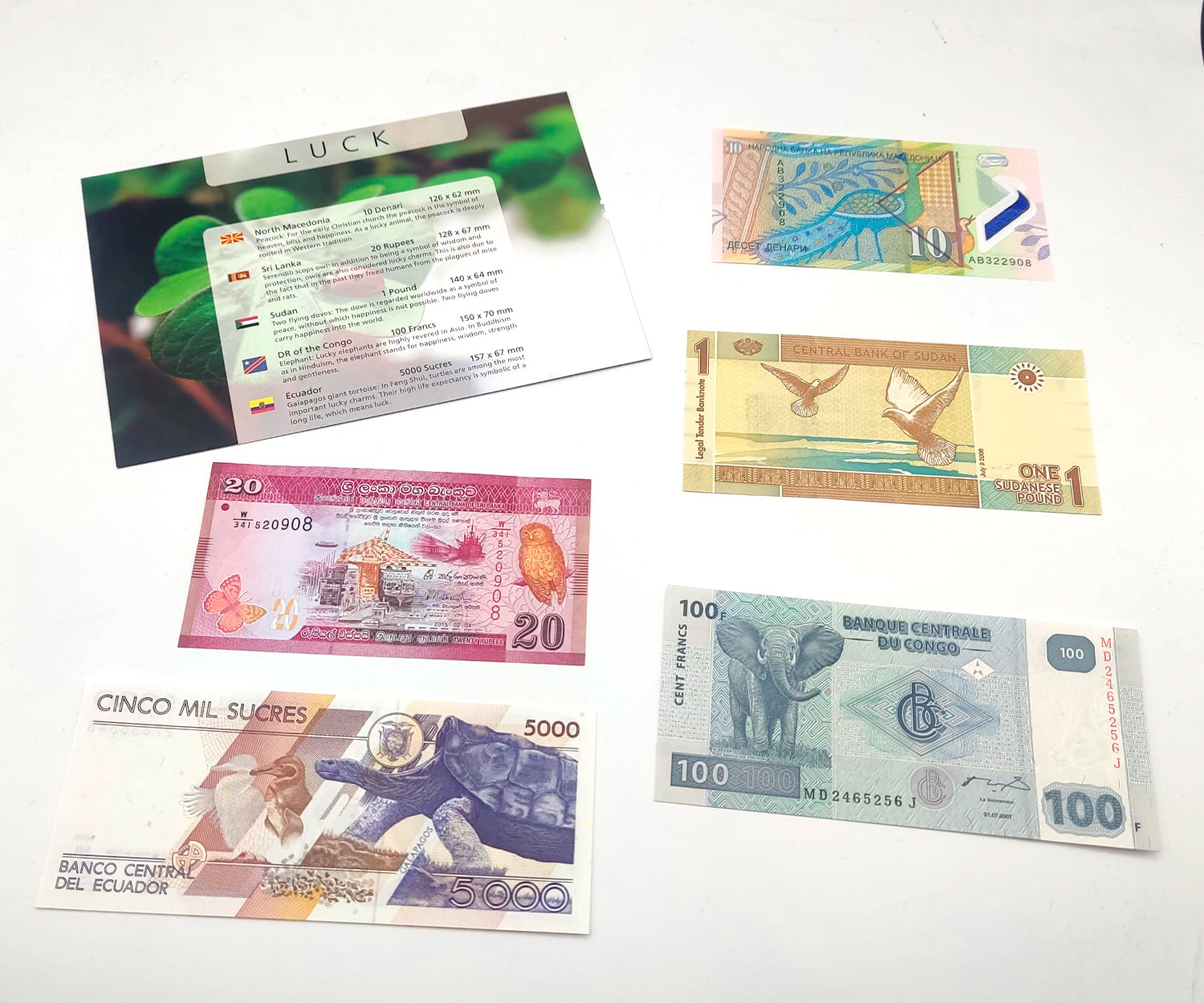 Billetes del Mundo - Colección de 5 Auténticos billetes de la SUERTE