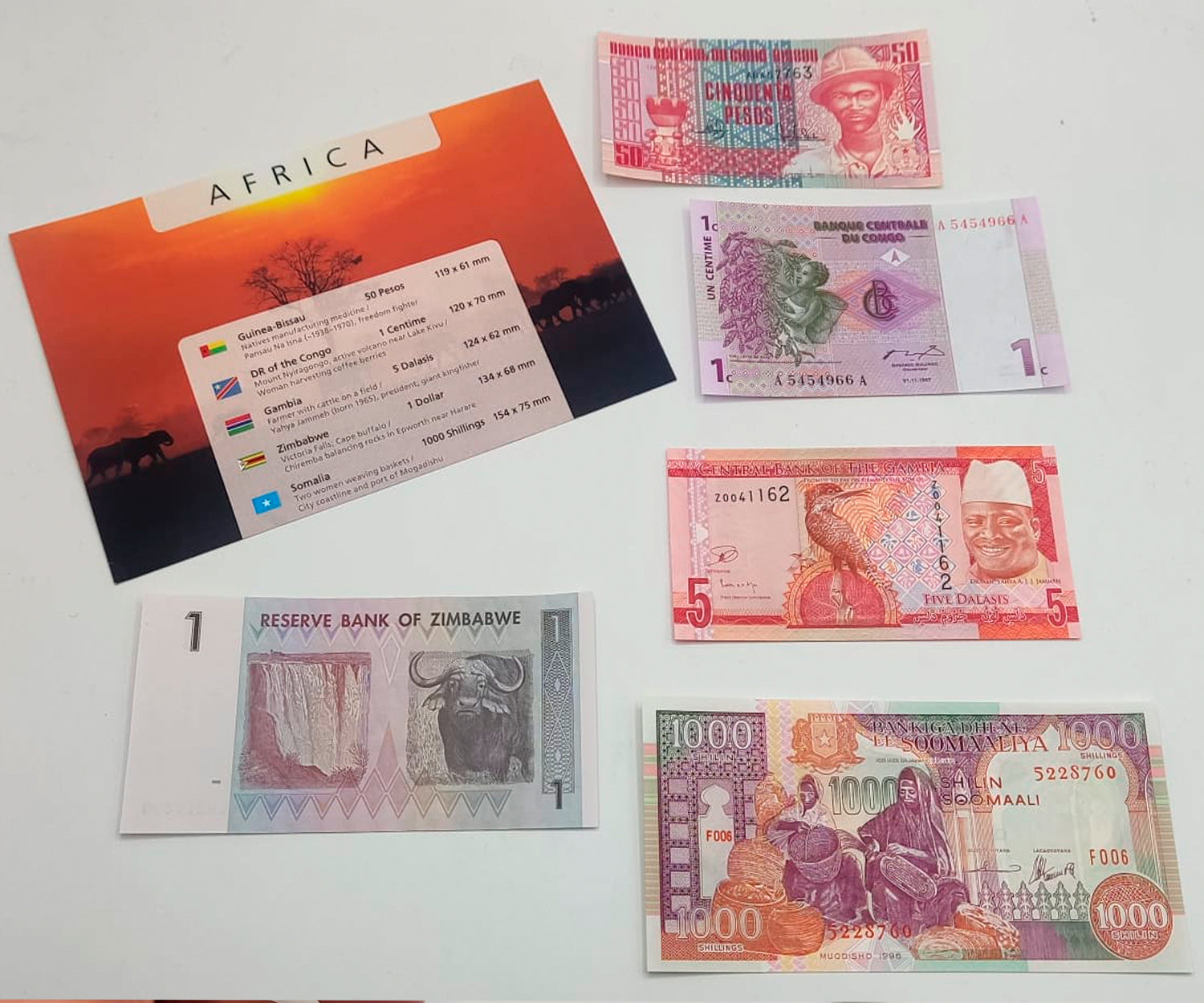 Billetes del Mundo - Colección de 5 Auténticos billetes de AFRICA