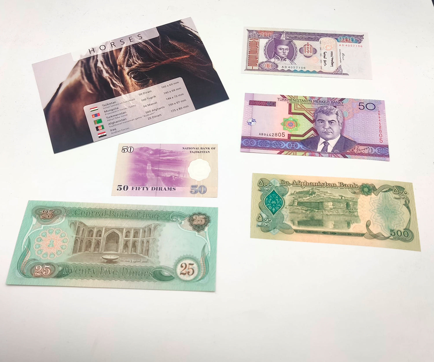 Billetes del Mundo - Colección de 5 Auténticos billetes de CABALLOS