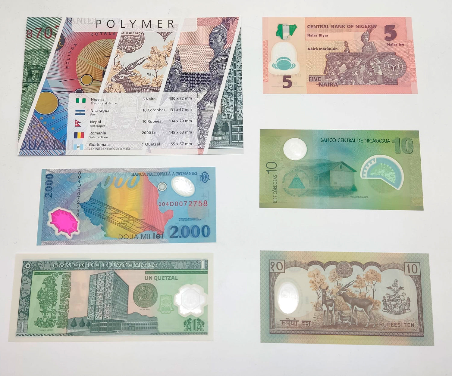 Billetes del Mundo - Colección de 5 Auténticos billetes de PLÁSTICO