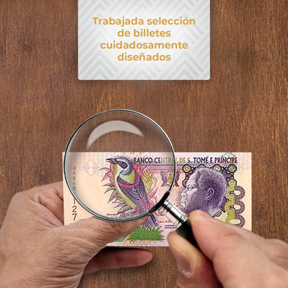 Papel moneda del mundo: los 12 billetes más bonitos del mundo 