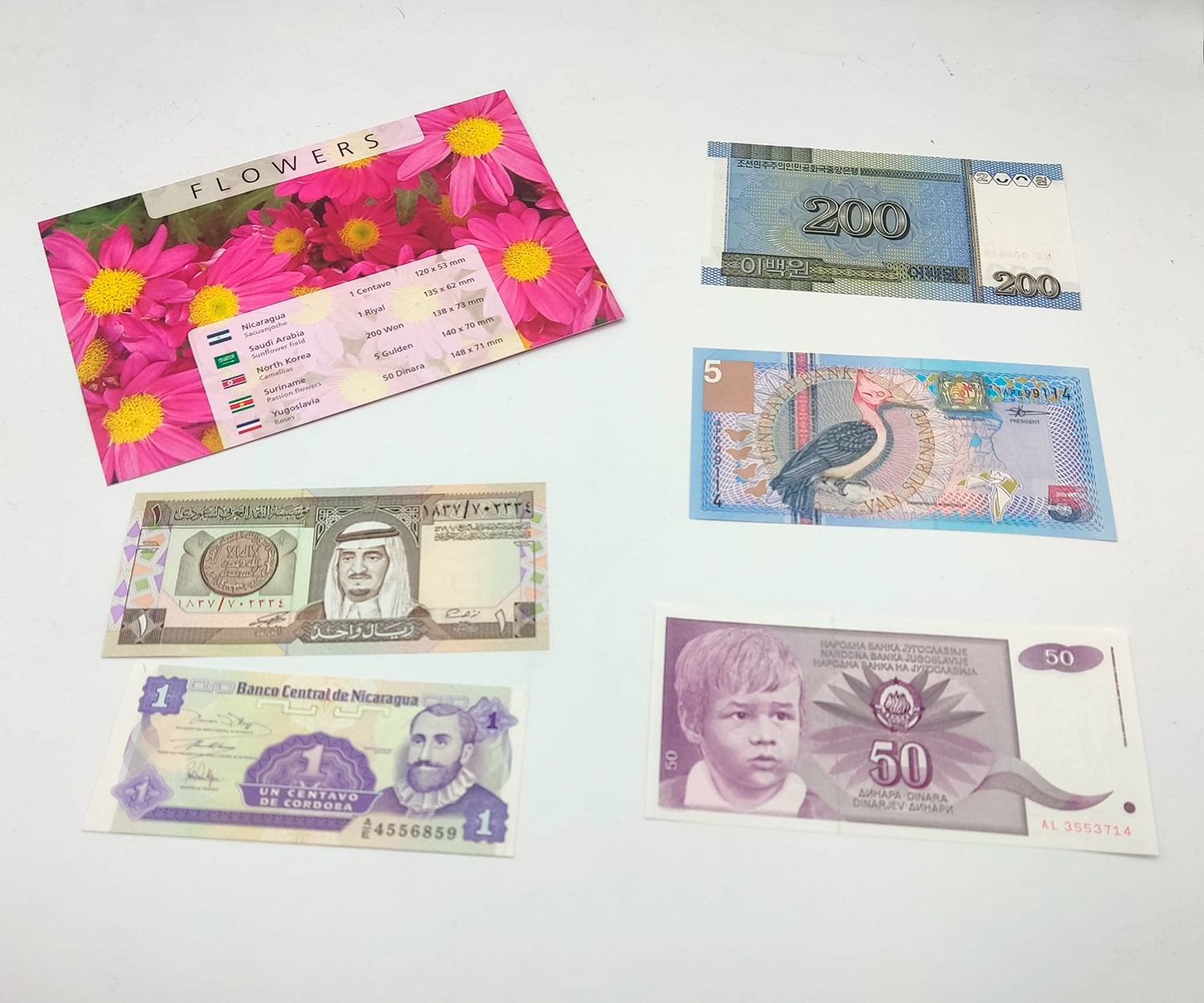 Billetes del Mundo - Colección de 5 Auténticos billetes de FLORES