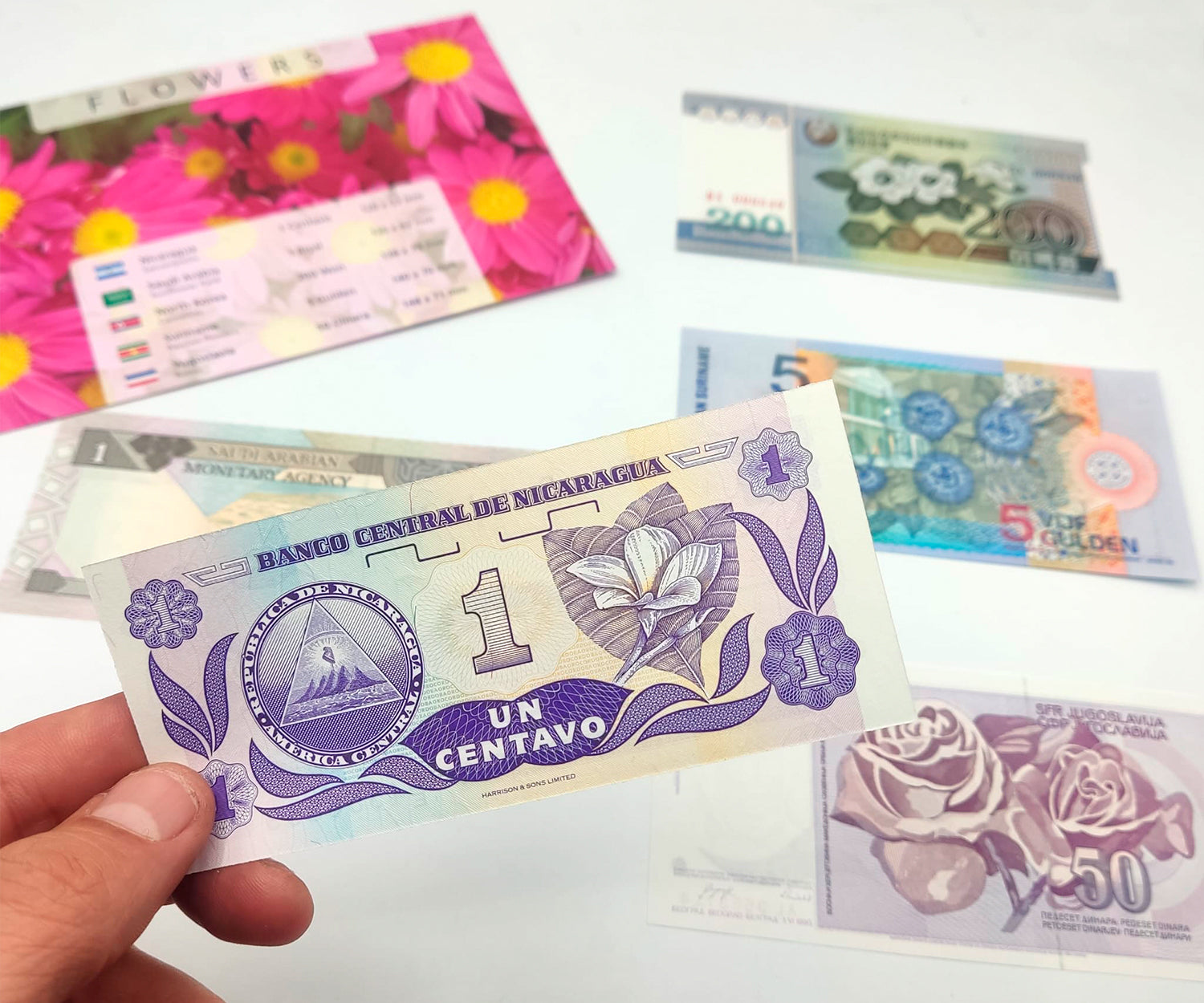 Billetes del Mundo - Colección de 5 Auténticos billetes de FLORES