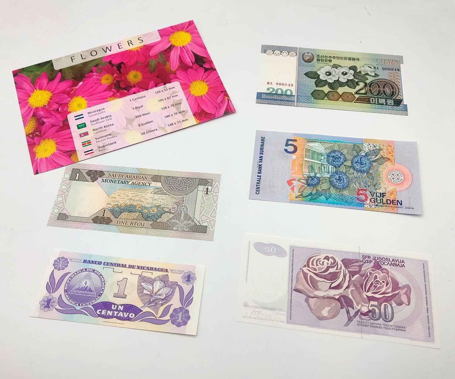 Billetes del Mundo - Colección de 5 Auténticos billetes de FLORES