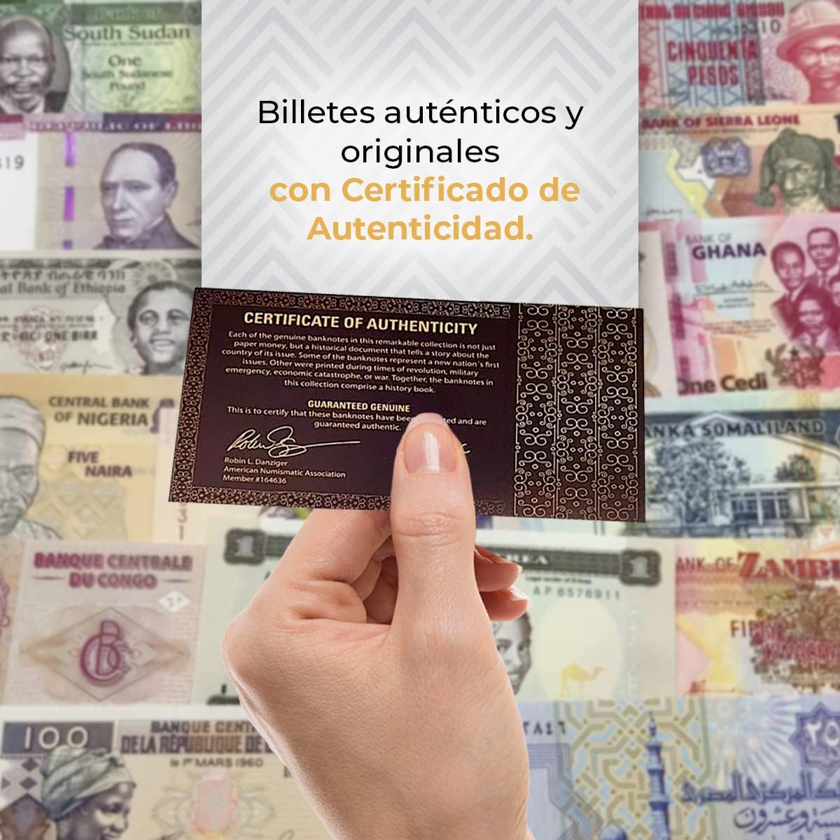 World Paper Money - 15 Banknotes from Latin America