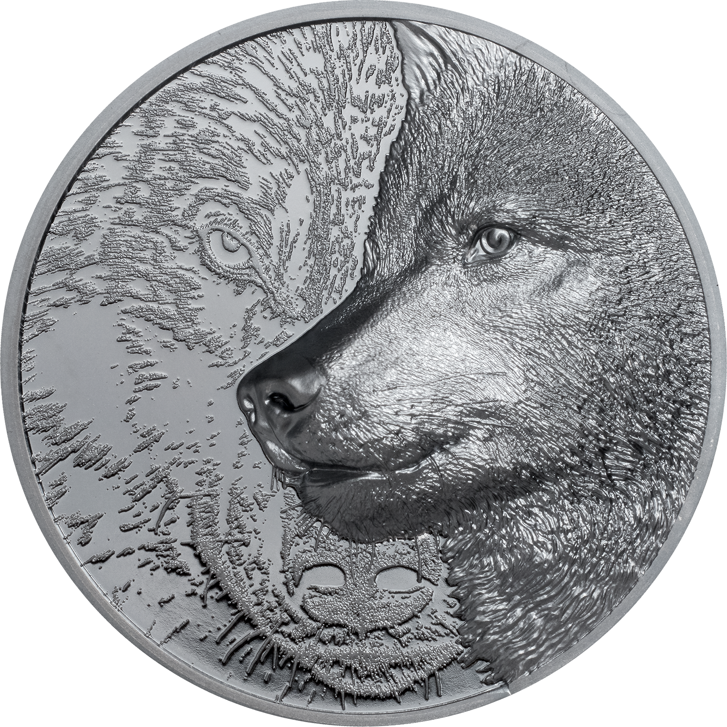 Mongolia, 1000 Togrog 2021. Mystic Wolf. 2 Oz Silver