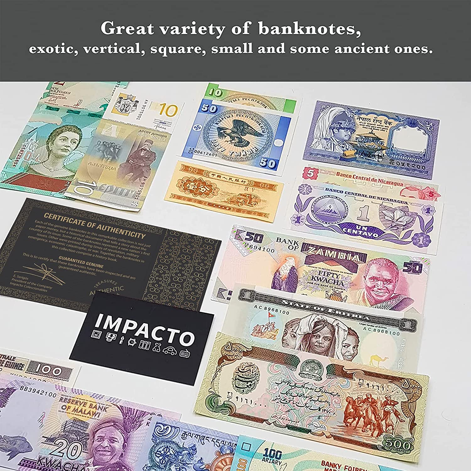 World Currency Collection - 50 Different World Banknotes