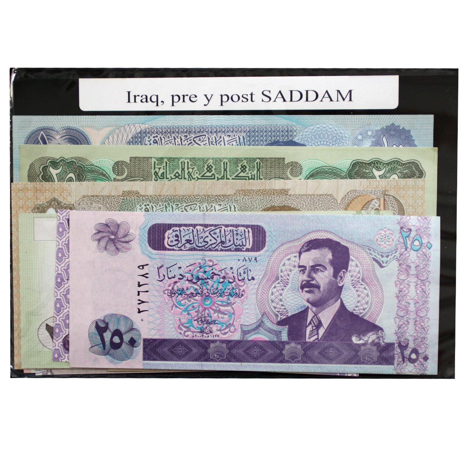 Weltweites Papiergeld - 11 Banknoten aus dem Irak, vor und nach Saddam Hussein 