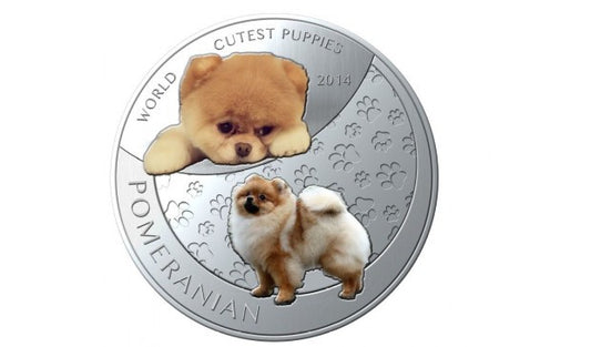 Islas Niue - 1 dólar 2014. Cachorros. Pomerania